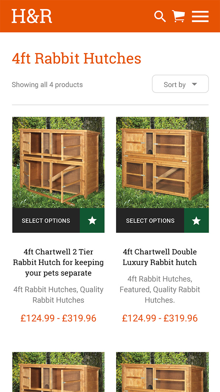 eCommerce web design