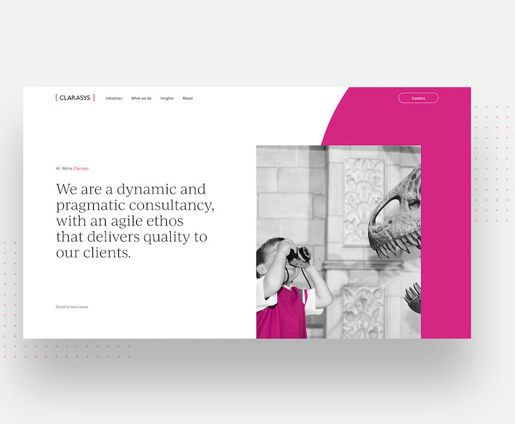 website banner image for Clarasys