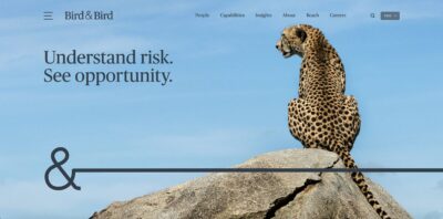 Bird & Bird web design for law firms